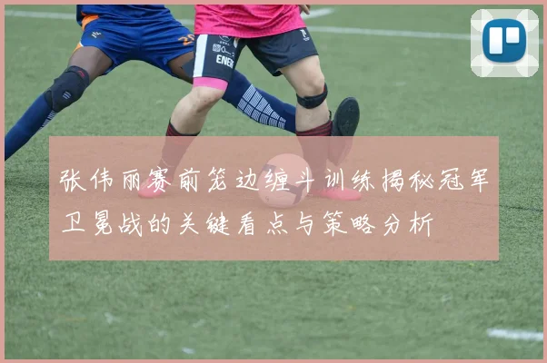 张伟丽赛前笼边缠斗训练揭秘冠军卫冕战的关键看点与策略分析