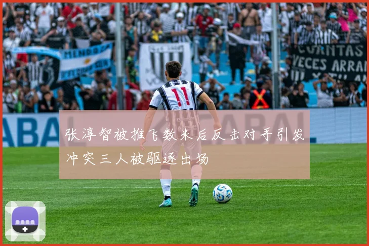 张淳智被推飞数米后反击对手引发冲突三人被驱逐出场