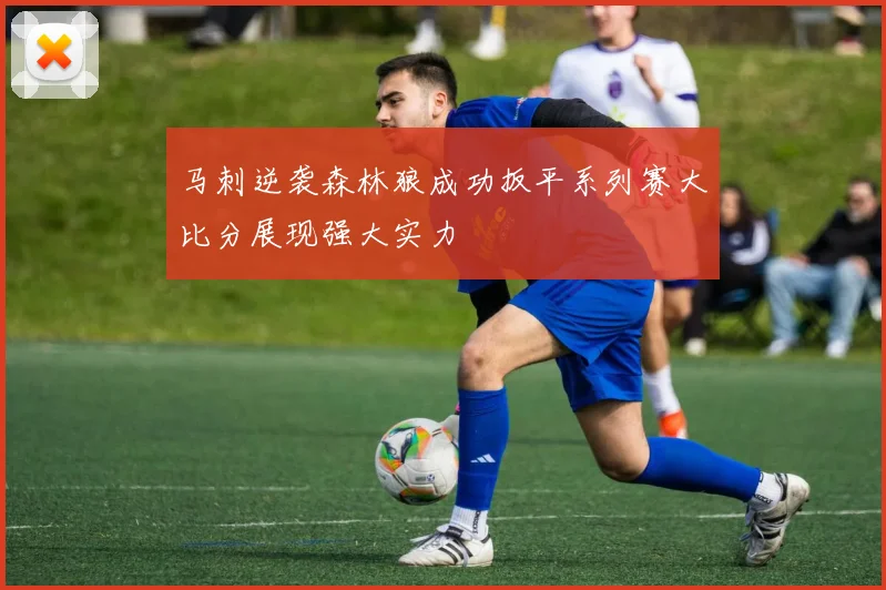 马刺逆袭森林狼成功扳平系列赛大比分展现强大实力